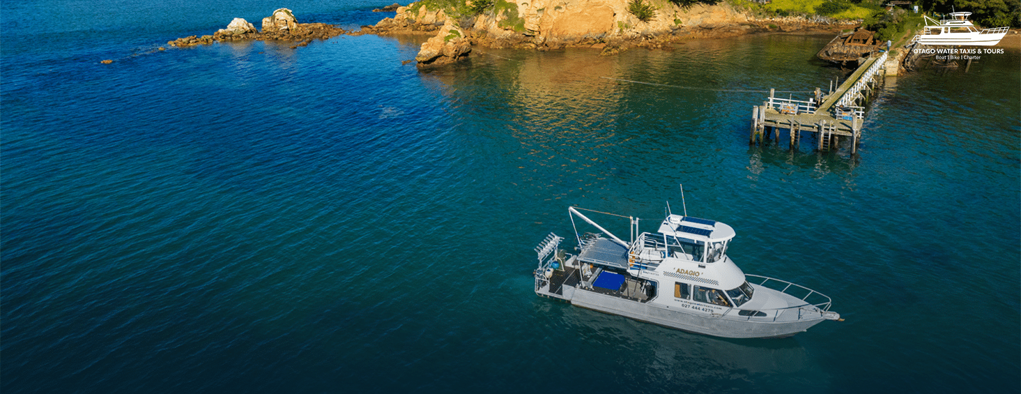 An aerial view of a boat operating as a bike ferry and for scenic cruises on the blue waters of Otago Harbour, with a jetty and rocky coastline nearby.